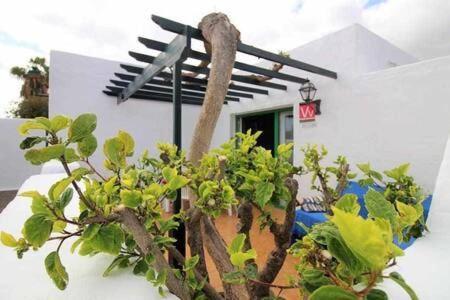 Sa Calma Beach House Costa Teguise Buitenkant foto